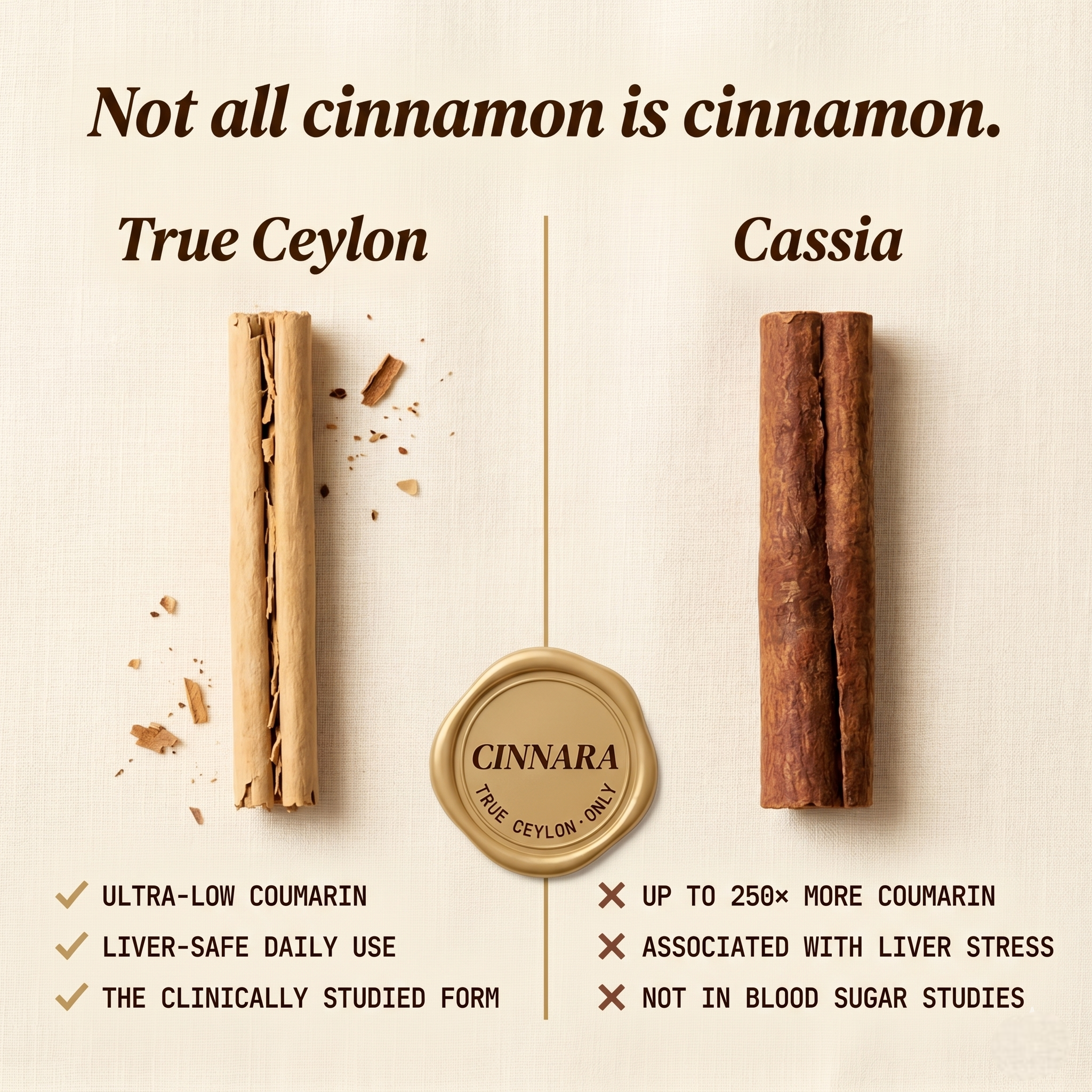 Ceylon Cinnamon 7200mg Equivalent with MCT Oil